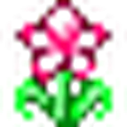 Shaman
